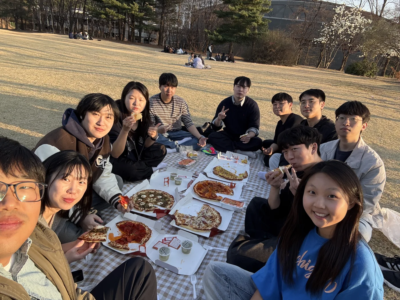 Picnic